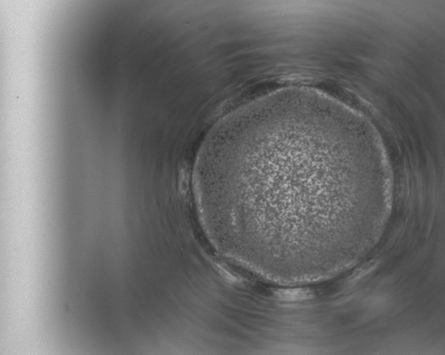 X0000072500281200607290113