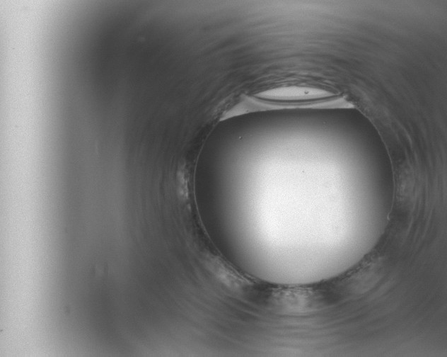 X0000072500282200607290113