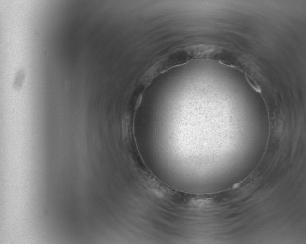 X0000072500283200607290113