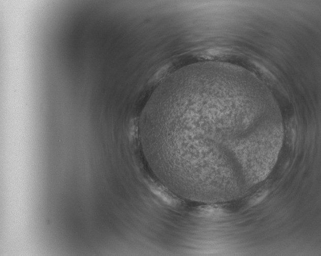 X0000072500284200607290113