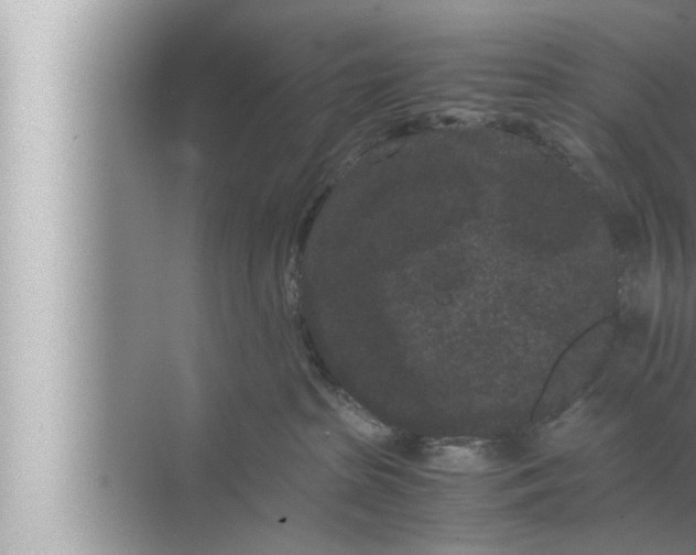 X0000072500285200607290114