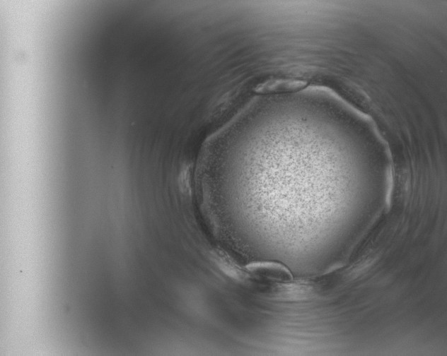 X0000072500286200607290114