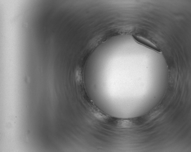 X0000072500287200607290114