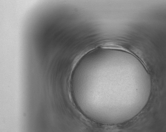 X0000072500289200607290113