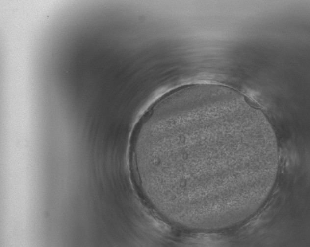 X0000072500292200607290113