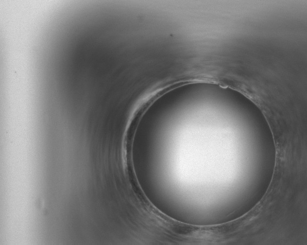 X0000072500294200607290113