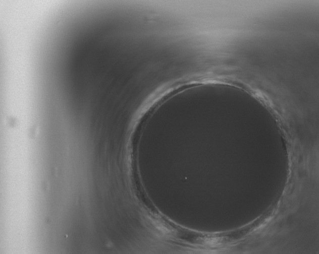 X0000072500295200607290113