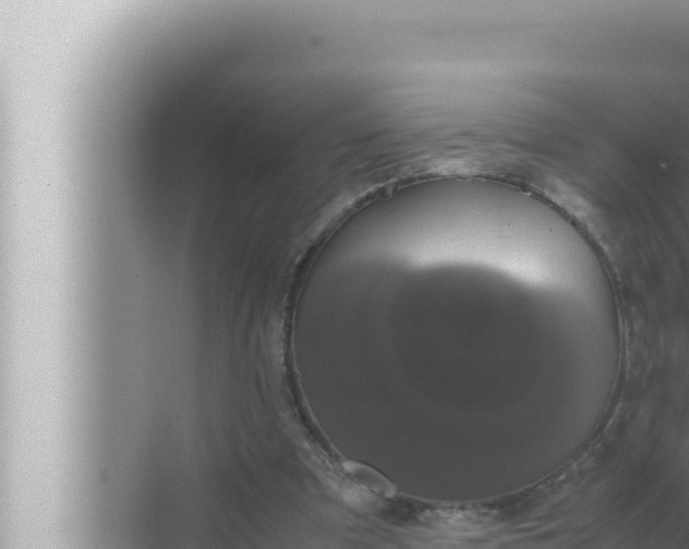 X0000072500297200607290113