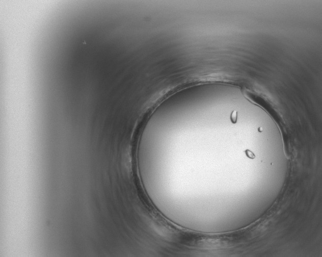 X0000072500298200607290113