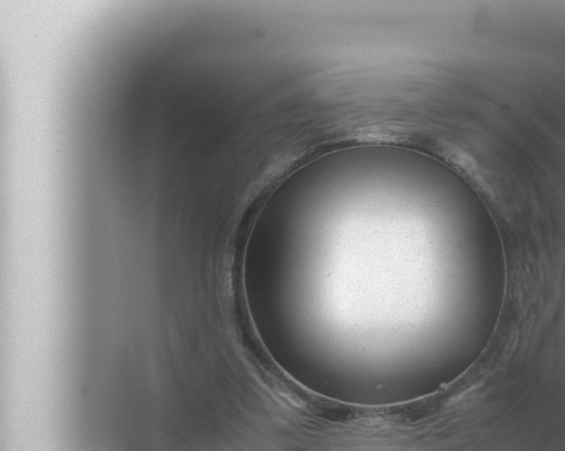 X0000072500299200607290113