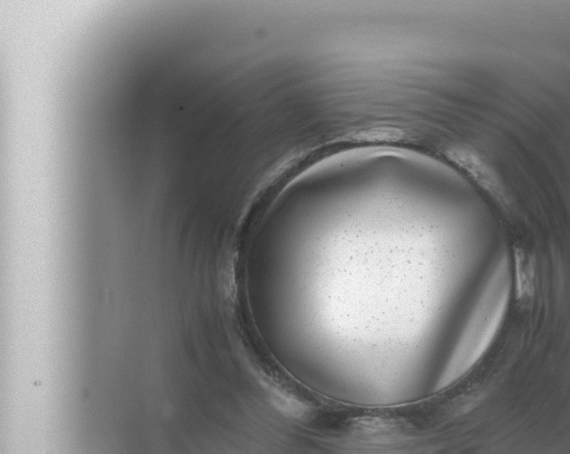 X0000072500300200607290113