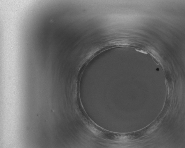 X0000072500301200607290113