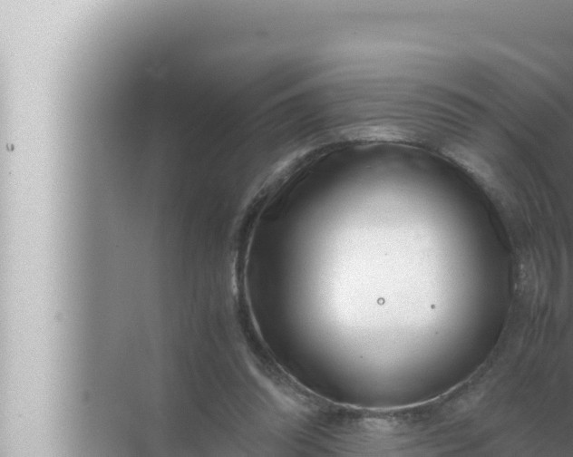 X0000072500302200607290113