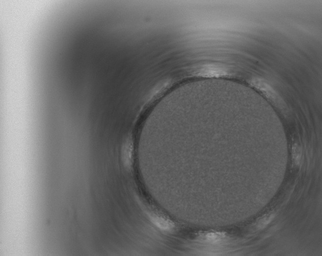 X0000072500304200607290112