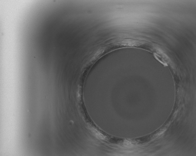 X0000072500305200607290112