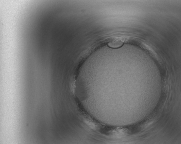 X0000072500307200607290112