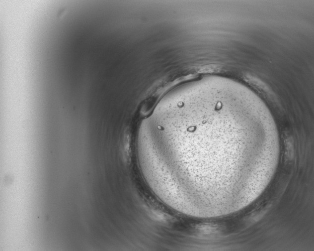 X0000072500308200607290112