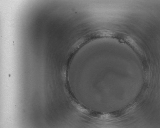 X0000072500309200607290112