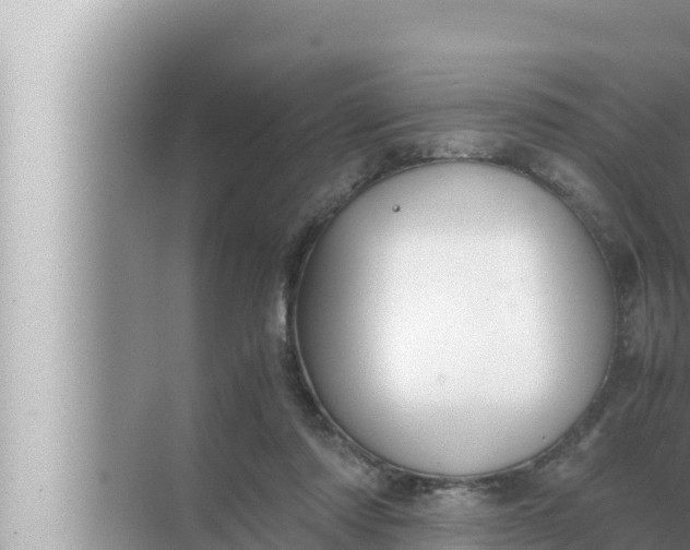 X0000072500310200607290112