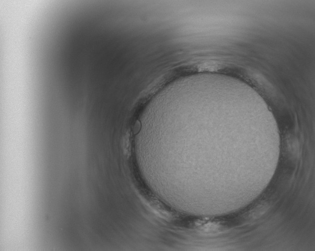 X0000072500311200607290112