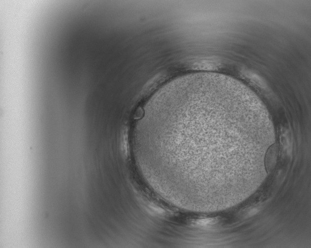 X0000072500312200607290112