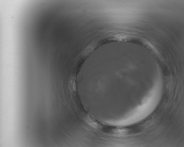 X0000072500313200607290112