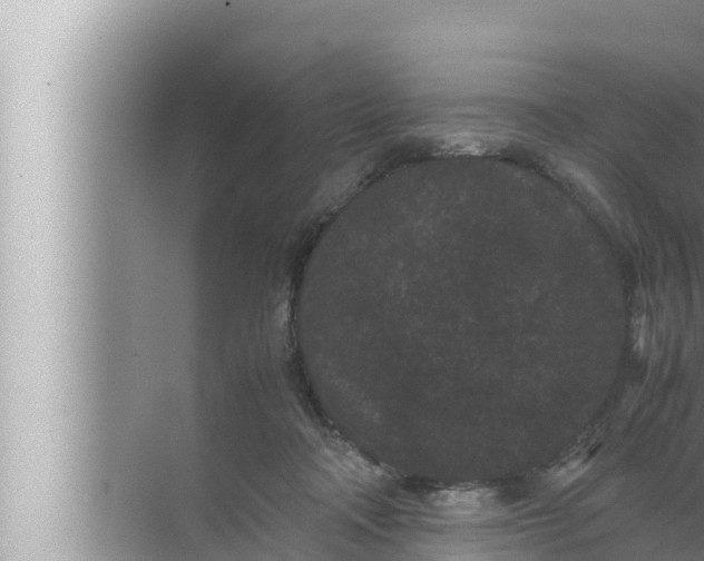 X0000072500314200607290112