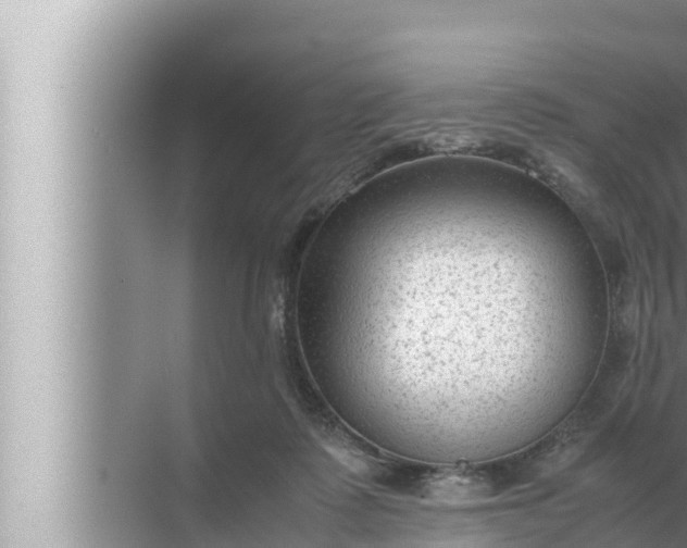 X0000072500315200607290112