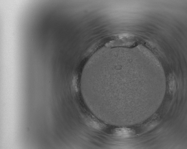 X0000072500316200607290112