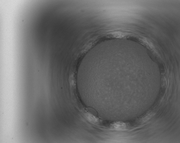 X0000072500317200607290112