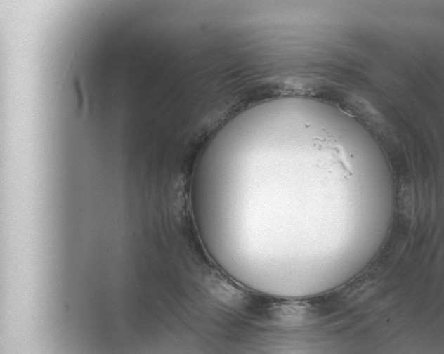 X0000072500318200607290112