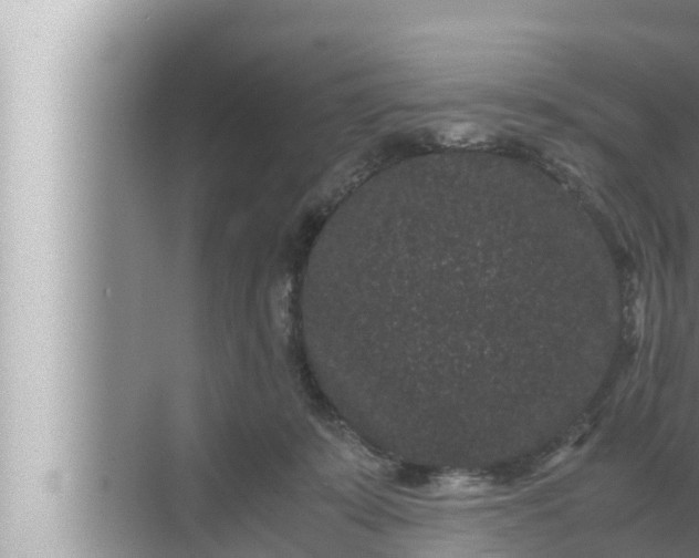 X0000072500319200607290112