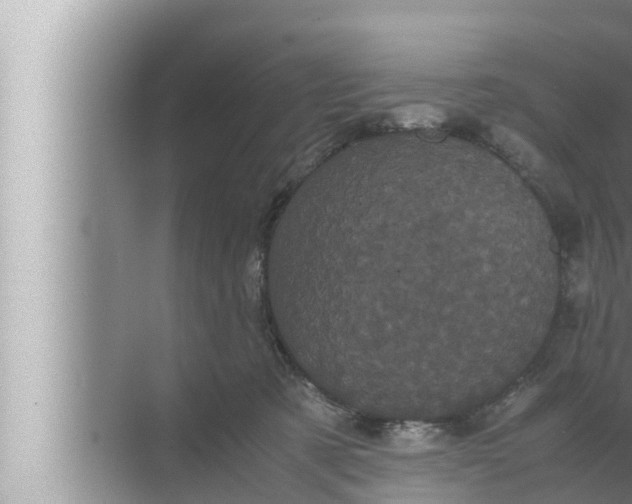 X0000072500321200607290112