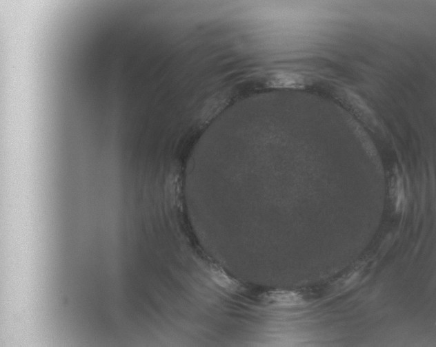 X0000072500322200607290112