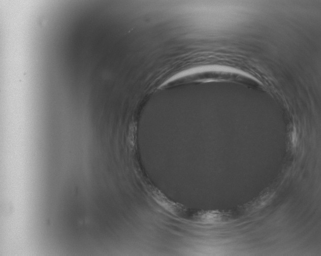 X0000072500325200607290112