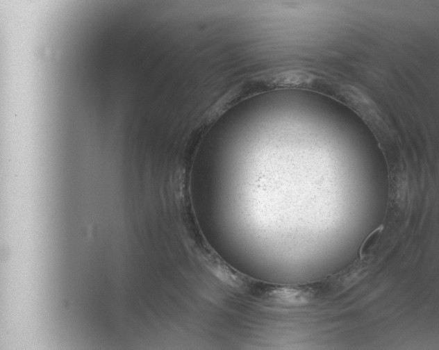 X0000072500326200607290112