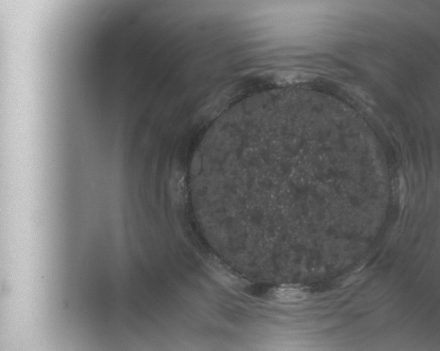 X0000072500327200607290112