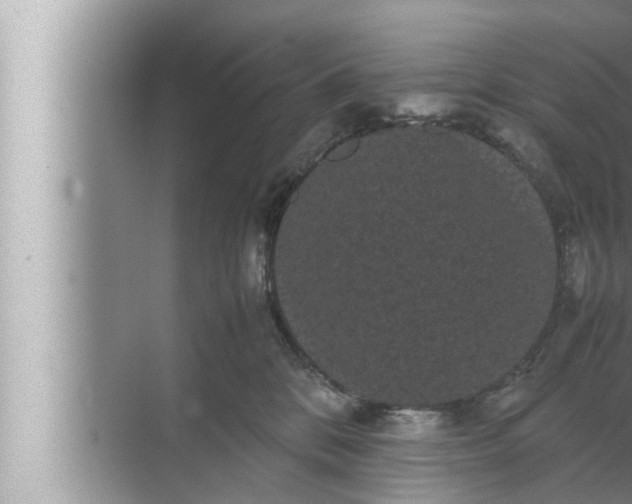 X0000072500328200607290112