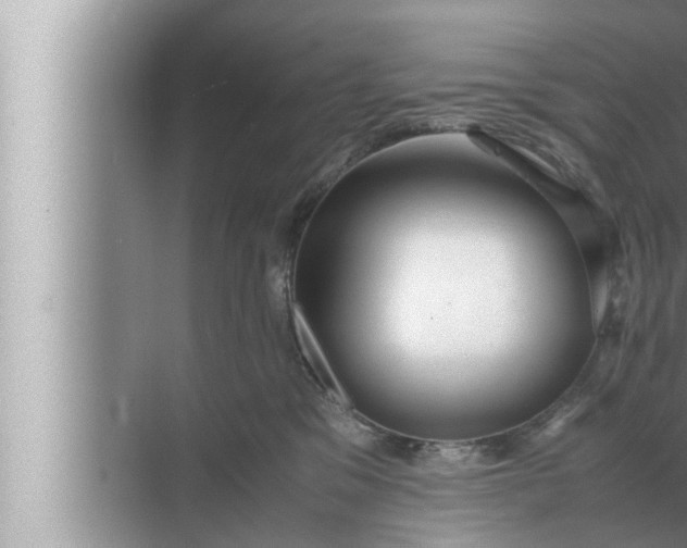 X0000072500329200607290112