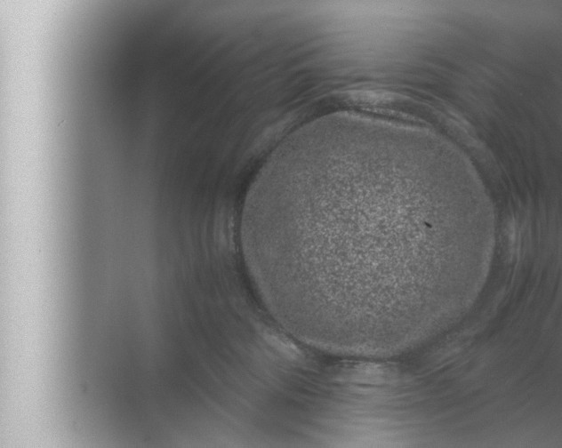 X0000072500330200607290112