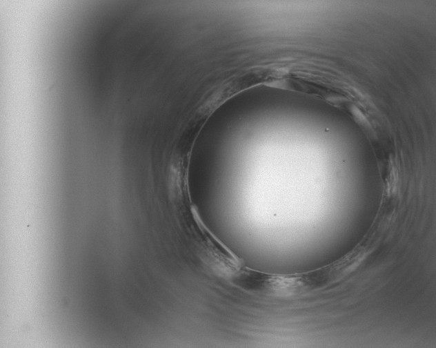 X0000072500333200607290112