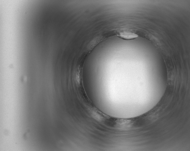 X0000072500334200607290112