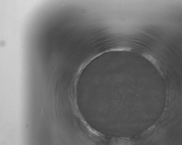 X0000072500337200607290111