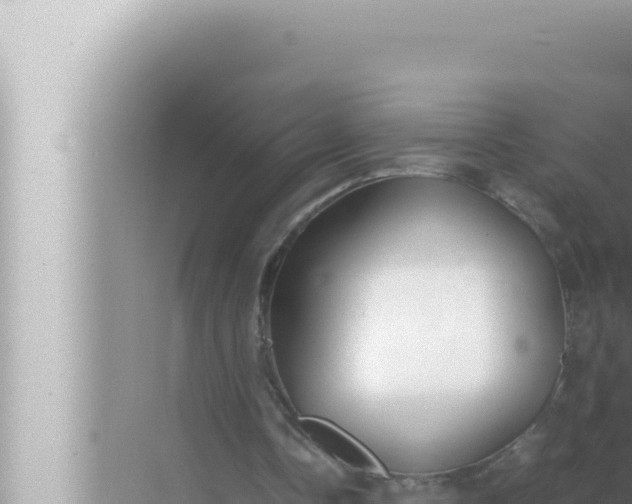 X0000072500338200607290111