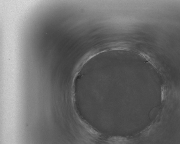 X0000072500339200607290111