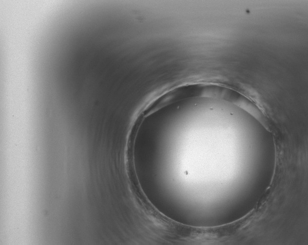 X0000072500340200607290111