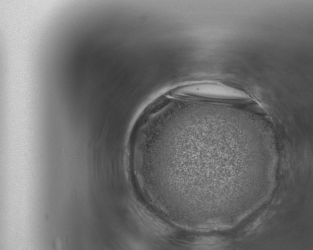 X0000072500342200607290111