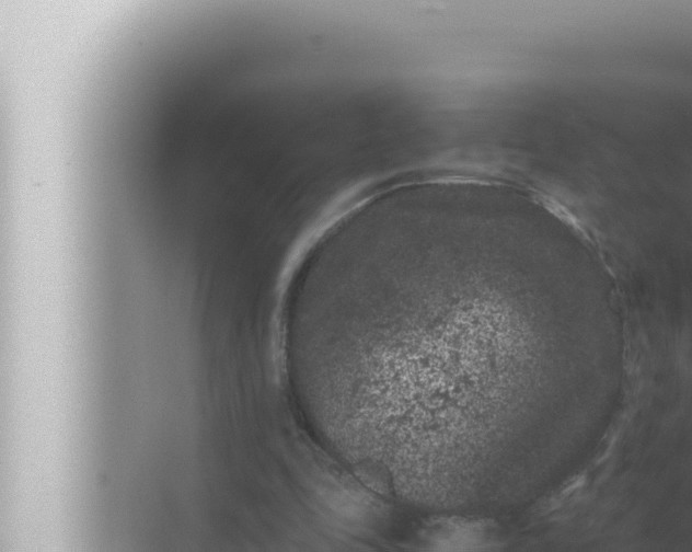 X0000072500343200607290111