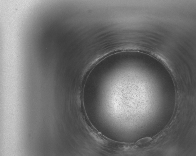 X0000072500345200607290111