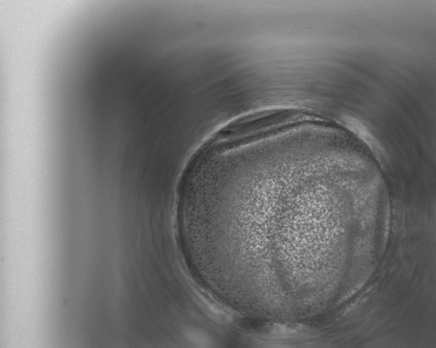 X0000072500346200607290111